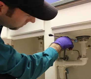 Cockroach Gel Treatment